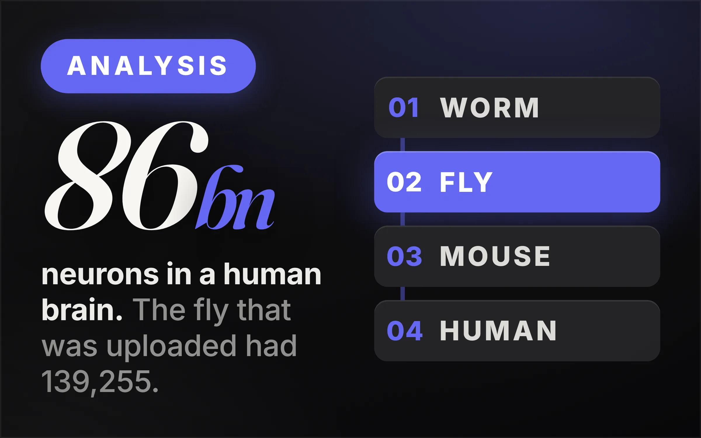 Dark cover plate. An Analysis chip, the figure 86bn set large, and the line reading neurons in a human brain, against 139,255 in the fly that was uploaded. At right, a numbered four-rung ladder reading worm, fly, mouse, human, with the fly rung lit as the one that has been run.